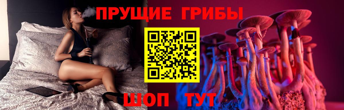Галлюциногенные грибы Psilocybe Красногорск